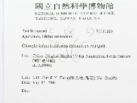 登錄號:F0020229藏品圖，第3張