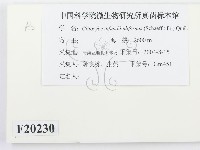 登錄號:F0020230藏品圖，第2張