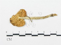 登錄號:F0020230藏品圖，第4張
