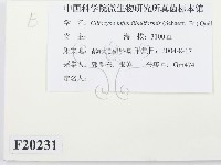 登錄號:F0020231藏品圖，第2張