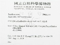 登錄號:F0020231藏品圖，第3張