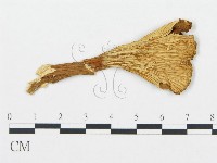 登錄號:F0020231藏品圖，第4張