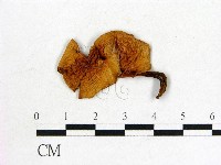 登錄號:F0020232藏品圖，第1張
