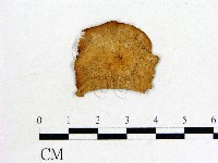 登錄號:F0020233藏品圖，第1張
