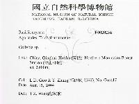 登錄號:F0020234藏品圖，第2張