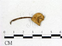 登錄號:F0020235藏品圖，第1張