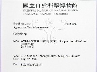 登錄號:F0020236藏品圖，第2張
