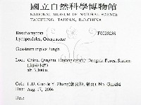 登錄號:F0020238藏品圖，第2張