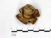 登錄號:F0020238藏品圖，第1張