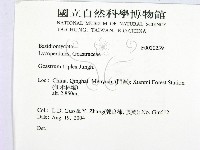 登錄號:F0020239藏品圖，第2張