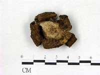 登錄號:F0020239藏品圖，第3張