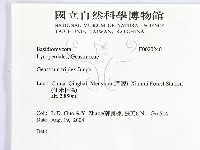 登錄號:F0020240藏品圖，第2張