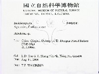 登錄號:F0020241藏品圖，第2張