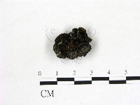 登錄號:F0020243藏品圖，第1張