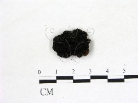 登錄號:F0020243藏品圖，第3張
