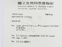 登錄號:F0020245藏品圖，第2張