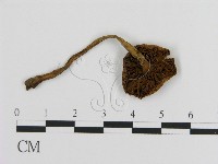 登錄號:F0020245藏品圖，第3張