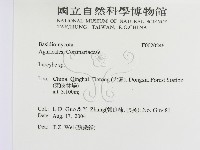 登錄號:F0020246藏品圖，第2張