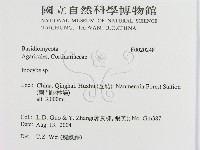 登錄號:F0020248藏品圖，第2張