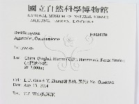 登錄號:F0020250藏品圖，第2張