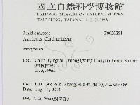 登錄號:F0020251藏品圖，第2張