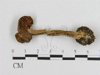 登錄號:F0020251藏品圖，第1張