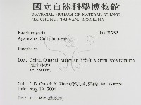 登錄號:F0020252藏品圖，第2張