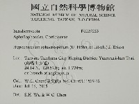 登錄號:F0020253藏品圖，第2張