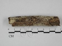 登錄號:F0020253藏品圖，第1張