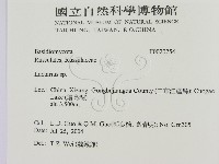 乳菇屬藏品圖，第2張