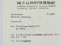 乳菇屬藏品圖，第2張