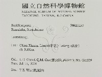 乳菇屬藏品圖，第2張