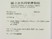 乳菇屬藏品圖，第2張