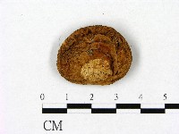登錄號:F0020270藏品圖，第1張