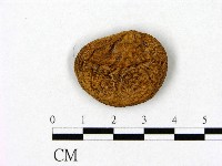 登錄號:F0020270藏品圖，第3張