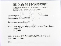 登錄號:F0020271藏品圖，第2張