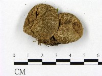 登錄號:F0020271藏品圖，第3張