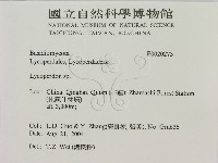 登錄號:F0020273藏品圖，第2張