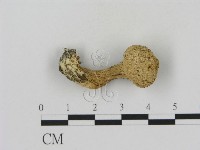 登錄號:F0020273藏品圖，第1張