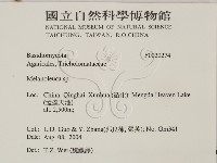 登錄號:F0020274藏品圖，第2張