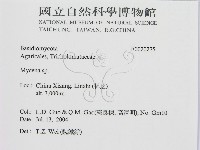 小菇屬藏品圖，第2張