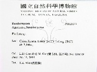 登錄號:F0020277藏品圖，第2張