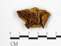 登錄號:F0020277藏品圖，第3張