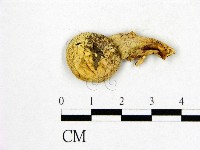 登錄號:F0020280藏品圖，第1張