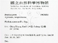 登錄號:F0020281藏品圖，第2張