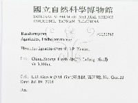 登錄號:F0020282藏品圖，第3張