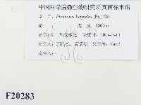 登錄號:F0020283藏品圖，第2張