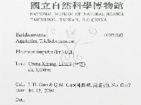 登錄號:F0020283藏品圖，第3張