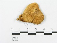 登錄號:F0020283藏品圖，第1張