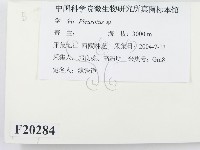 登錄號:F0020284藏品圖，第2張